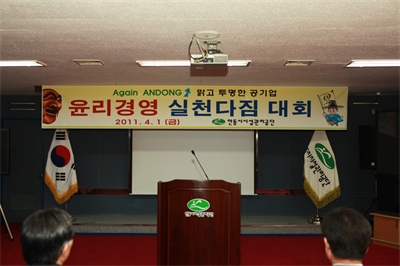 대표사진
