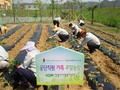 대표사진